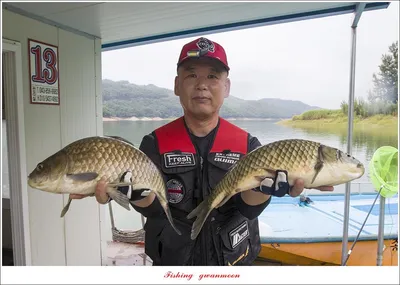 제일..솔..종점 4 짜 대물 및 화곡지 호조황..