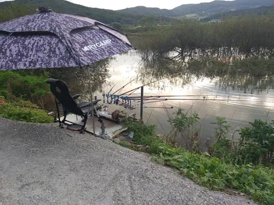 고삼지--10월 첫주 소식