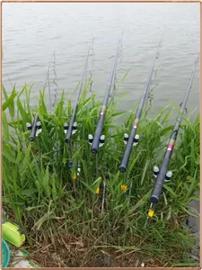 진위천 평택호 조황 