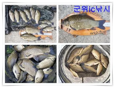 떨어져서하는 취미생활>> 낚시 ~~