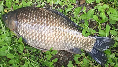 4월의 부푼마음으로 - 산란철 조황안내