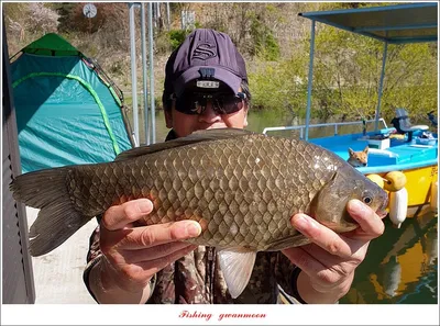 화곡지 4 짜..칠성지 조황..