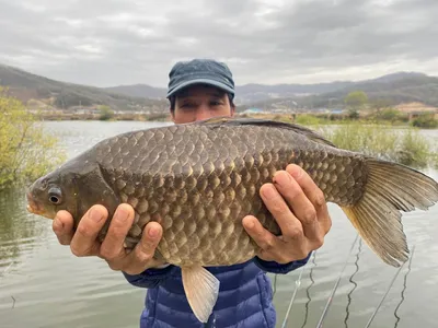 대형사고와 4짜의 모습===고삼지