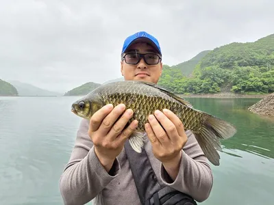 목벌 4 짜..화곡지 4 짜 조황..