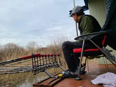 송전(이동)지---마릿수의 붕어들