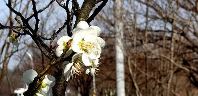 기다리던 봄-어느듯 산란철