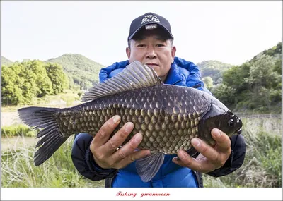 목벌 43 cm..37 cm...소류지 4 짜..솔 낚시터 월척..화곡지 대물 조황..