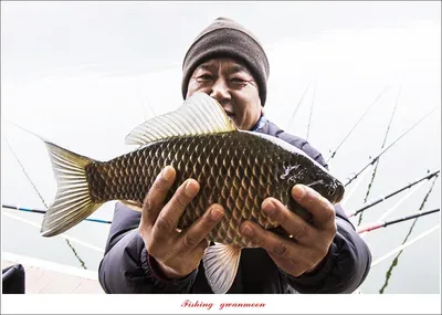 솔  4 짜 대물 조황..