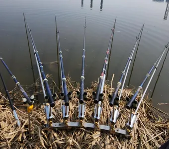 평택호 진위천 조황 소식