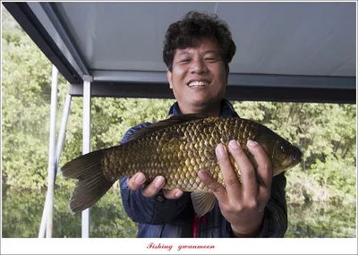 화곡지 4 짜 조황..