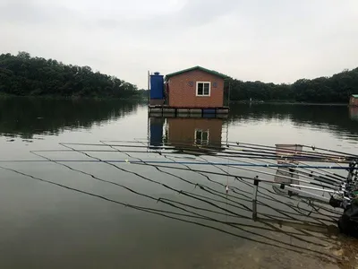 고삼지---노지에서의 4짜