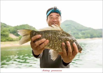 목벌 4 짜 마릿수 조황..