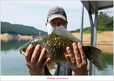 솔 4 짜 대물 조황..