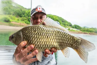 한버들 4 짜..목벌 4 짜..솔 월척..중산지 향어 ..