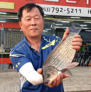 삼복지절 조황안내-늦 장마에 라도 거는 기대