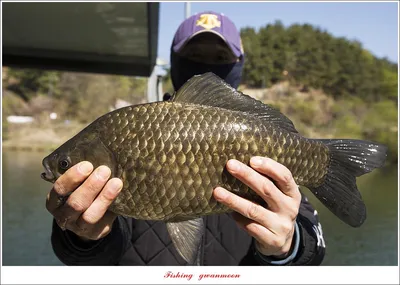 화곡지 4 짜..중산지..남한강 지류 조황..