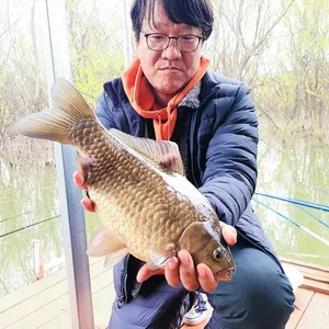 4짜가 5수씩이나 최고 46.5cm==송전지