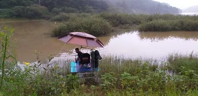 고삼지---오름수위중