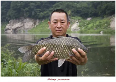 명서..제일 낚시터 오름수위 현황.. 