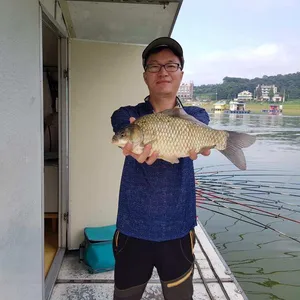 고삼지- 지역펀차가 매우 심합니다