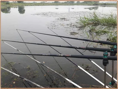 진위천 조황 소식