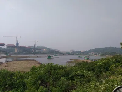 매우 궁금한 고삼지