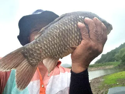 한풀꺽인 더위-가까워진 시즌