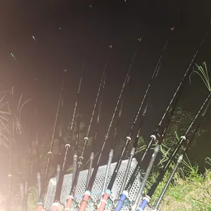 평택호 진위천 조황 소식