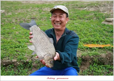 충주호 노지 낚시의 추억..