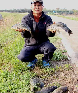 실감나는 가을-시월의 마지막 주말 입니다.