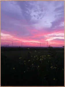 진위천 조황 소식