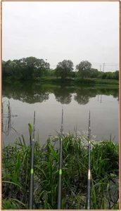 진위천 조황 소식 