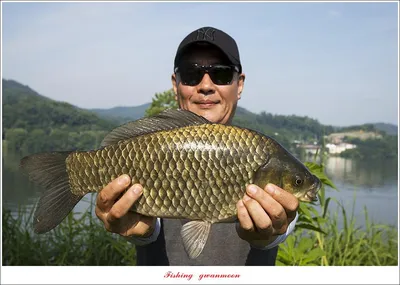 탄금호 4 짜..오름수위 전야..