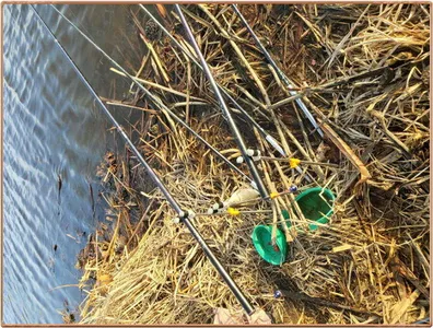 진위천 조황 소식