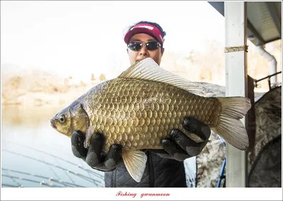 돌감 4 짜..노지 4 짜 대물 조황..