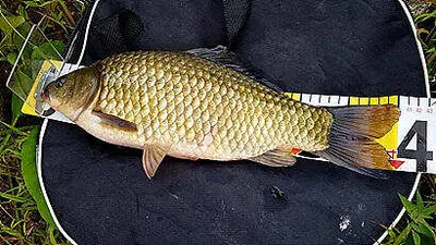 8월말 조황안내 입니다.