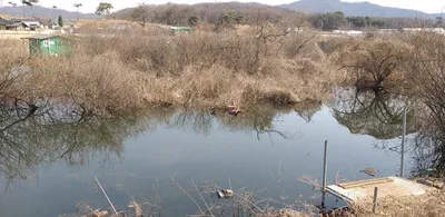 4짜가 그리우면==고삼지