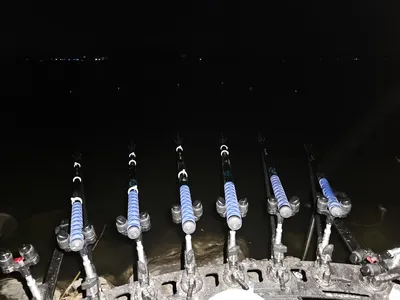 평택호 진위천 남양호 조황 소식