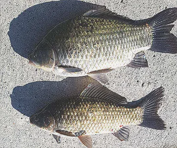 11월-짙어가는 가을색을 찾아서....