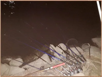 진위천 조황 소식