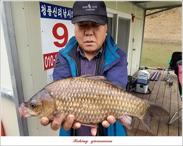 신리 44 cm..실리곡 41 cm..돌감 40.5 cm..칠성지 대물 조황..