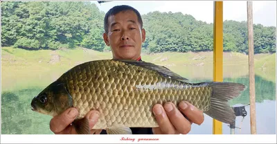 제일..늘푸른..종점 낚시터 조황 소식..