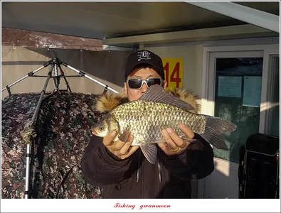 한버들 39cm..실리곡 36 cm..37 cm 월척 및 빙어 조황..