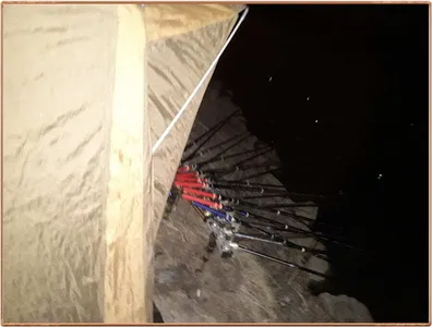 진위천 조황 소식