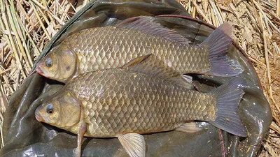 배수걱정없는 의성권북부와동부 ~