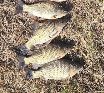 가슴설레는 25년 봄시즌이 개막 되었습니다.