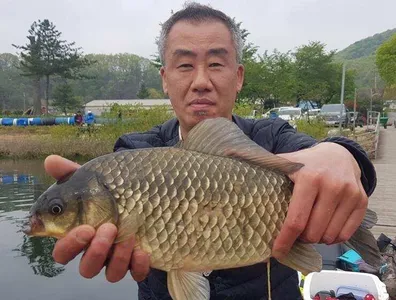 4짜들이 줄줄이---고삼지