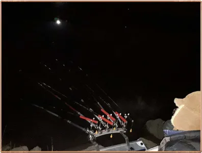 진위천 조황 소식