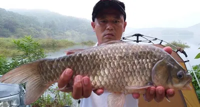 노지에서 4짜들이---고삼지