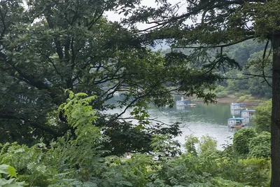 문골 낚시터..화곡지 조황..